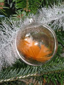 sapin-2010 6577 (375x500)