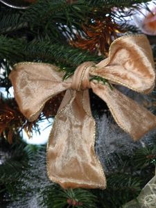 sapin-2010 6603 (375x500)