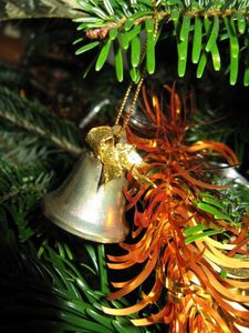 sapin-2010 6606 (375x500)