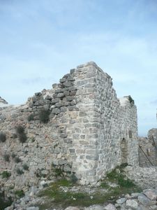 P1050314-bis.jpg