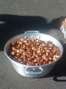 86.JPG