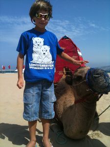 Tanger chameau (20)