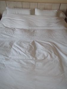 DSCF2748.JPG