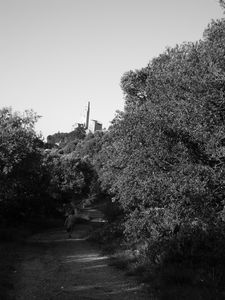 DSCF3004.JPG