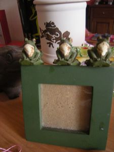 grenouille-cadre-1.JPG