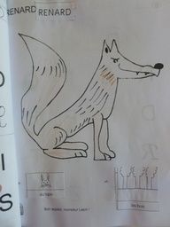 BAML le renard