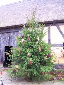 100_2245.JPG