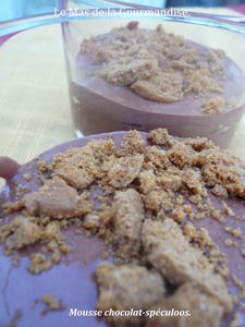 Mousse au choco - spéculoos 2 copie