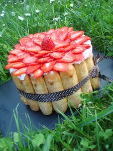 Charlotte-aux-fraises-Gariguettes--6-.JPG