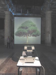 Floyer-Ceal--Overgrowth--2004--Biennale-Venise-09.JPG