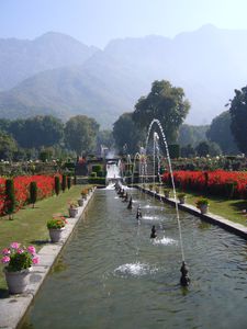 108 : Jardin Nishat Bagh, Srinagar