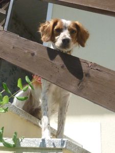 Que la vie est dure