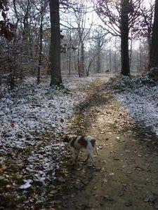 Sa première neige6