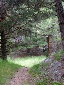 Sentier botanique