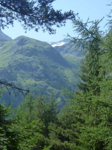 Sentier découverte14