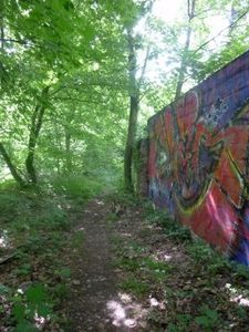 Tags en forêt14