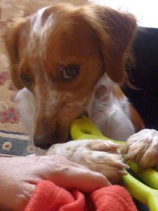 Un vendredi de chien11