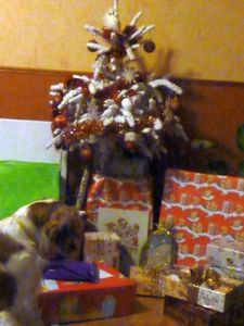 Noel2