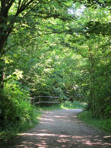 Ballade sur les bords de l'Yerres11