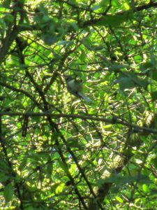 Ballade sur les bords de l'Yerres27