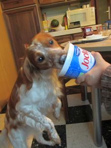 Un grand gourmand2