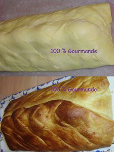 2011-01-22 koulibiac1