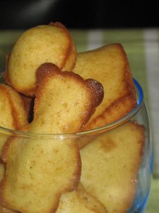 madeleines formes5