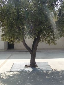 P1060607