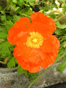 PICT0052