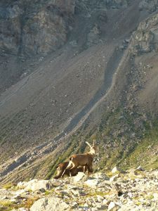 Tor-25-copie-1.jpg