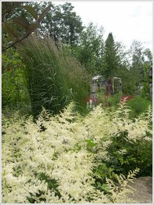calamagrostis-acutifolia-astilbes-arindsii-diamant--pb-la-d.jpg