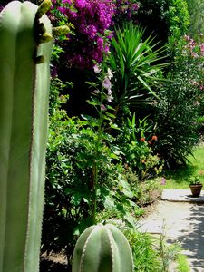 Jardin à carthage