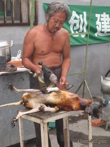 chine-e7790210.jpg