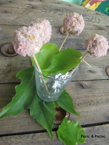 cake pops salé4