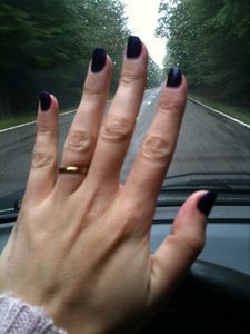 vernis1-2931.JPG