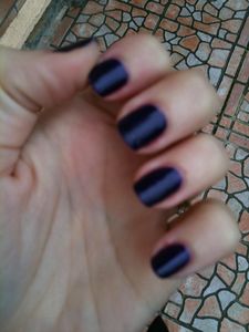 vernis1-2933.JPG
