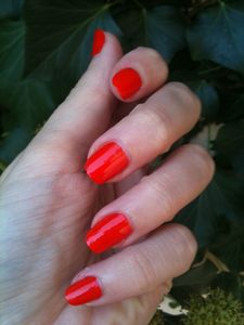 vernis2-3002.JPG