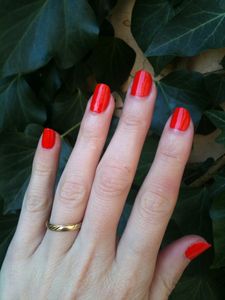 vernis2-3004.JPG