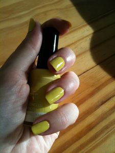 vernis2-3120.JPG