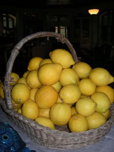 Citrons-2012--3-.jpg