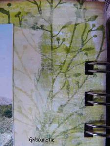 Couleurs Provence 08 dtl