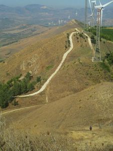 Ecotrail delle Cantine di Camporeale (1^ ed.). Buona la prima edizione, con la vittoria di Fabio Daidone e Santina D'Ippolito