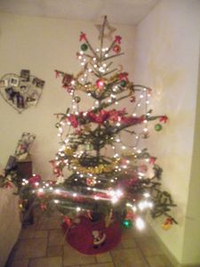 DSCF5014
