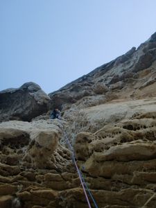 canail3.jpg