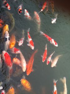 IMG_0354.jpg