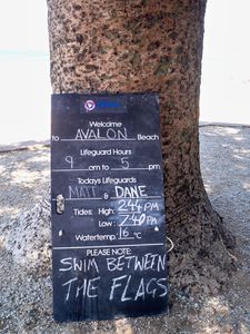 Avalon Beach (7)