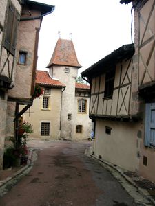 fleur de lys 2