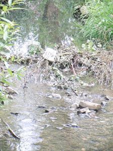 ruisseau1.JPG