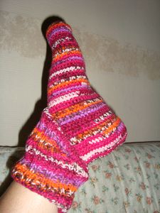 photo 062