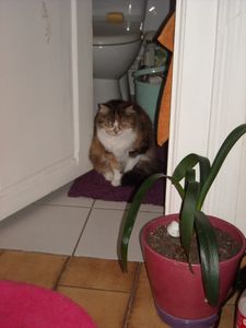 photo1-140-copie-1.jpg